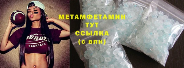 хмурый Пересвет