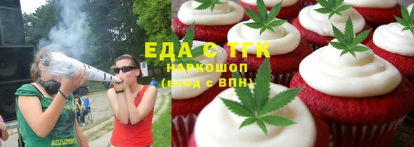 хмурый Пересвет