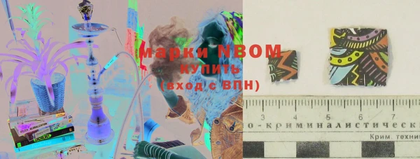 хмурый Пересвет