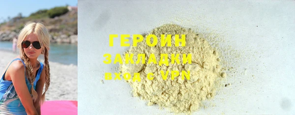 хмурый Пересвет
