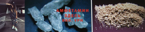 хмурый Пересвет
