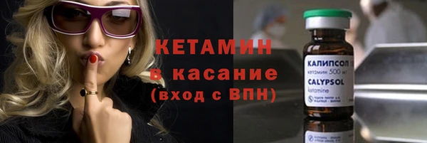 хмурый Пересвет