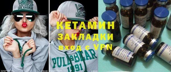 хмурый Пересвет