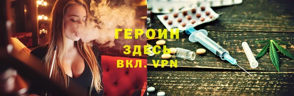 хмурый Пересвет