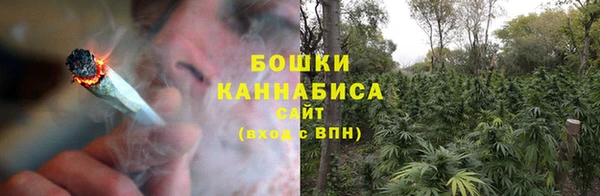 хмурый Пересвет