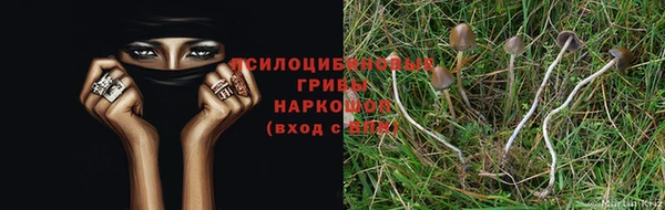 мескалин Пестово