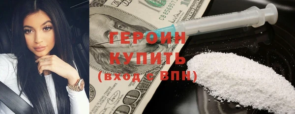 хмурый Пересвет